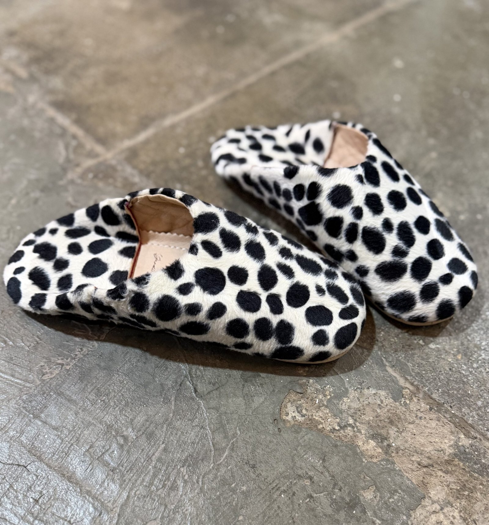 Babouches d’intérieur Dalmatien
